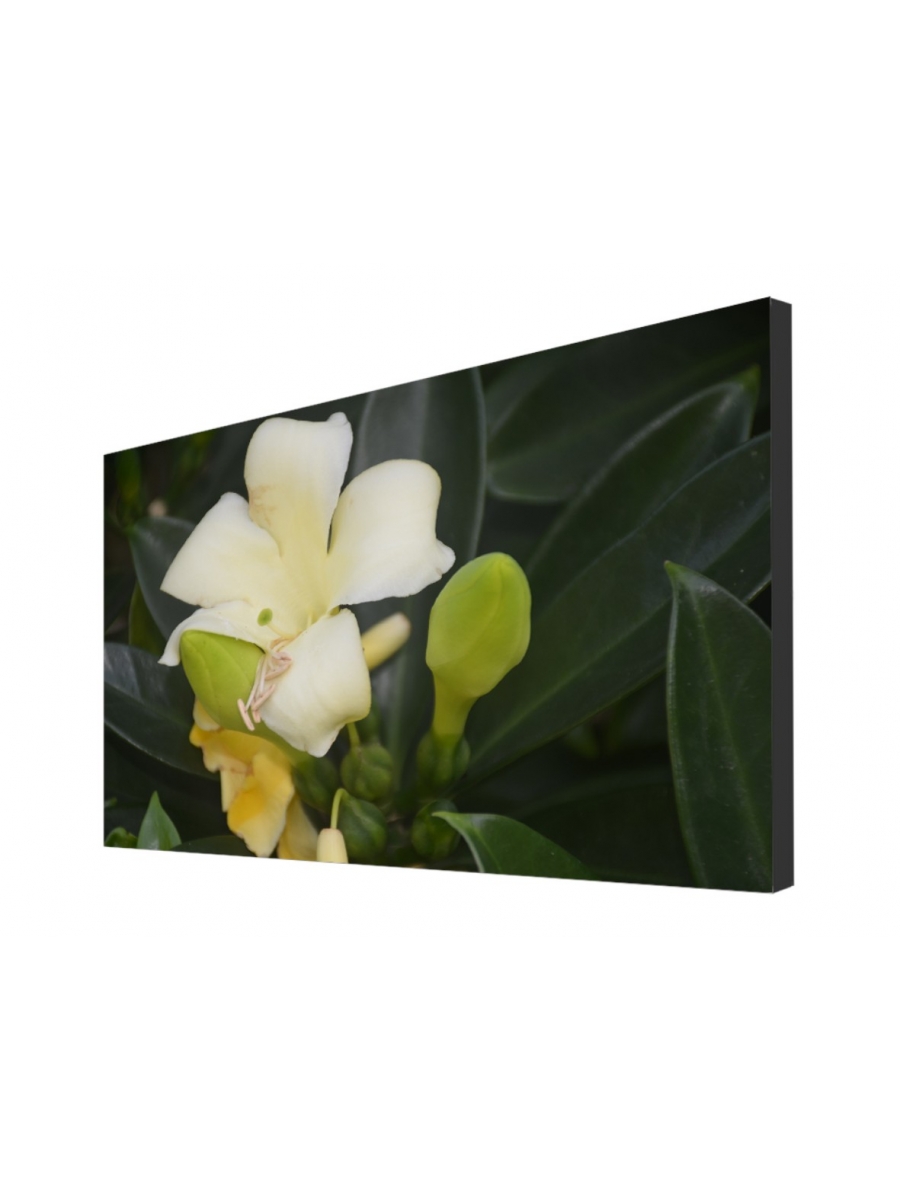 Buy FULTAPE True Zero Bezel Video Walls, 0 mm Screen-to-Screen Gap, 4K UHD/1080P HD Resolution