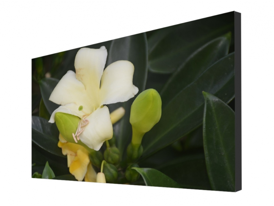 Buy FULTAPE True Zero Bezel Video Walls, 0 mm Screen-to-Screen Gap, 4K UHD/1080P HD Resolution